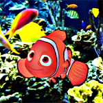 Find the Nemo